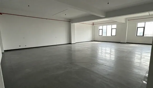 常见技术问题处理中的方案设计与维护策略
